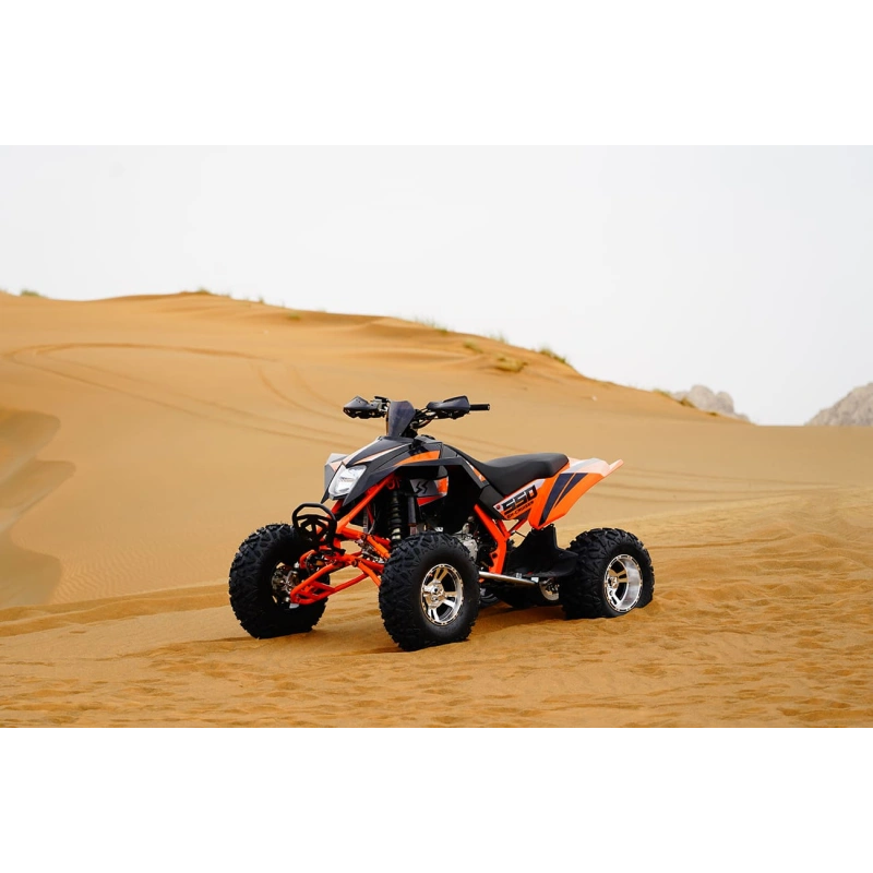 Квадроцикл SHARMAX 550 GX-Cruiser