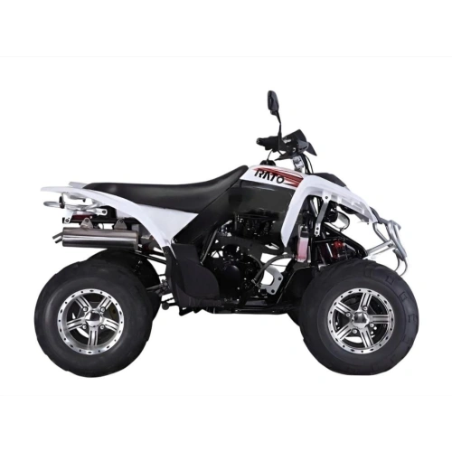 Квадроцикл RATO RТ250SТ-2