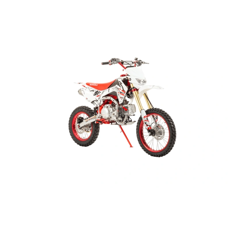 Питбайк MOTOLAND CRF19
