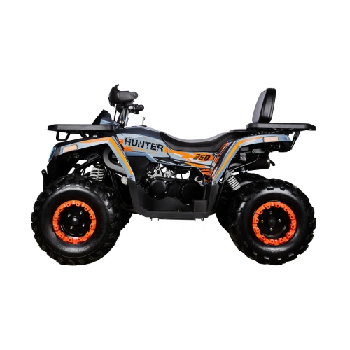 Квадроцикл AVANTIS H250 Big New Basic