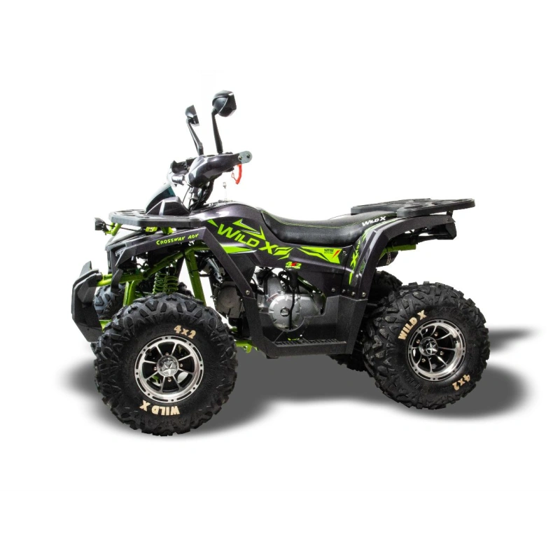 Квадроцикл MOTOLAND 125 Wild X Pro
