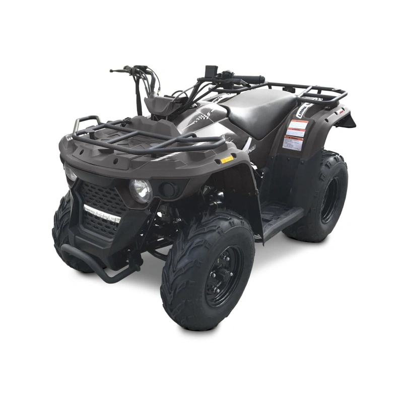 Квадроцикл LINHAI-YAMAHA M150