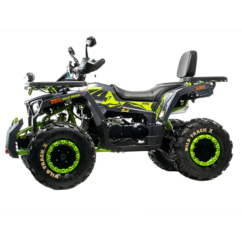 Квадроцикл MOTOLAND 200 Wild Track X Winch