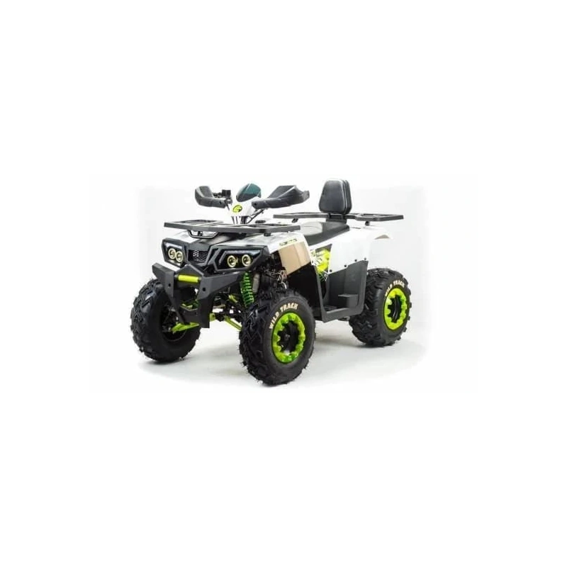 Квадроцикл MOTOLAND 200 Wild Track Lux ( Баланс. вал) (2021 Г.)