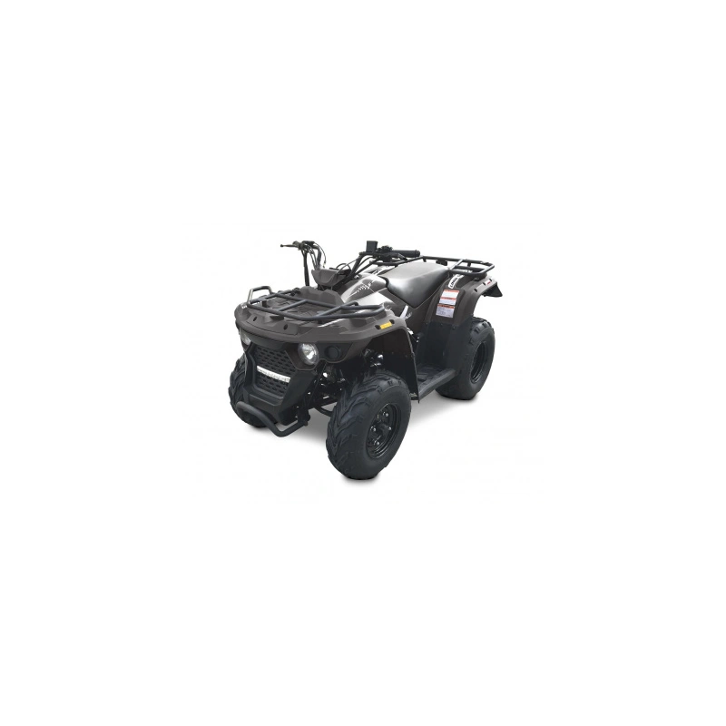 Квадроцикл LINHAI-YAMAHA M150