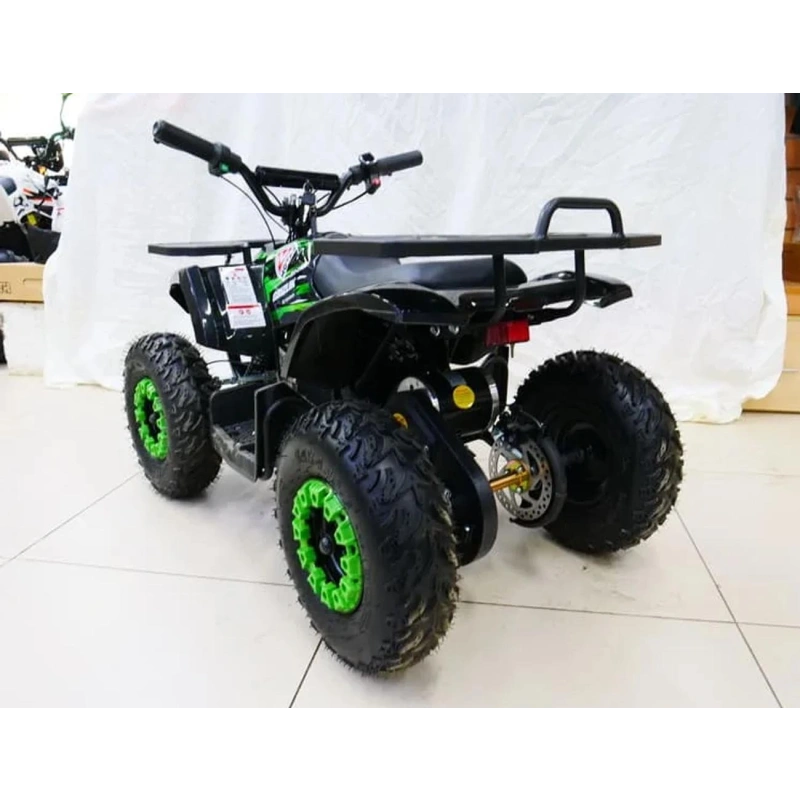 Электроквадроцикл MOTAX Grizlik X16 New E1000
