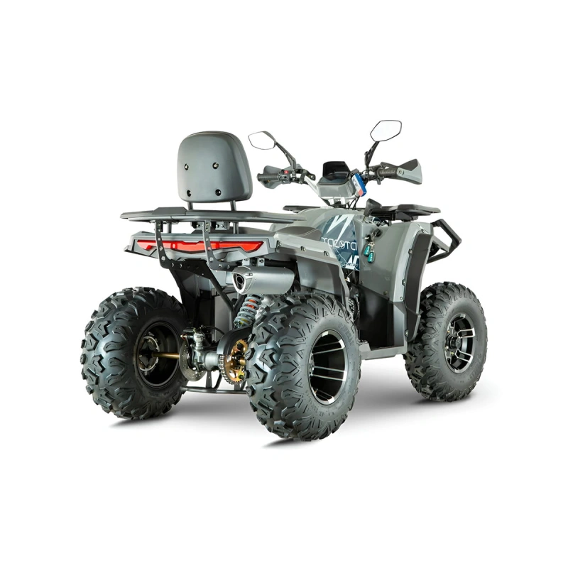 Квадроцикл YACOTA Viking New 200 Pro