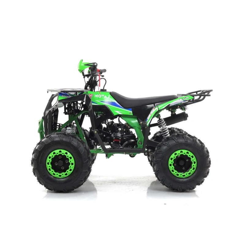 Квадроцикл MOTAX Grizlik A125