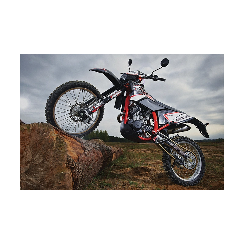 Мотоцикл МИНСК ERX250 ENDURO