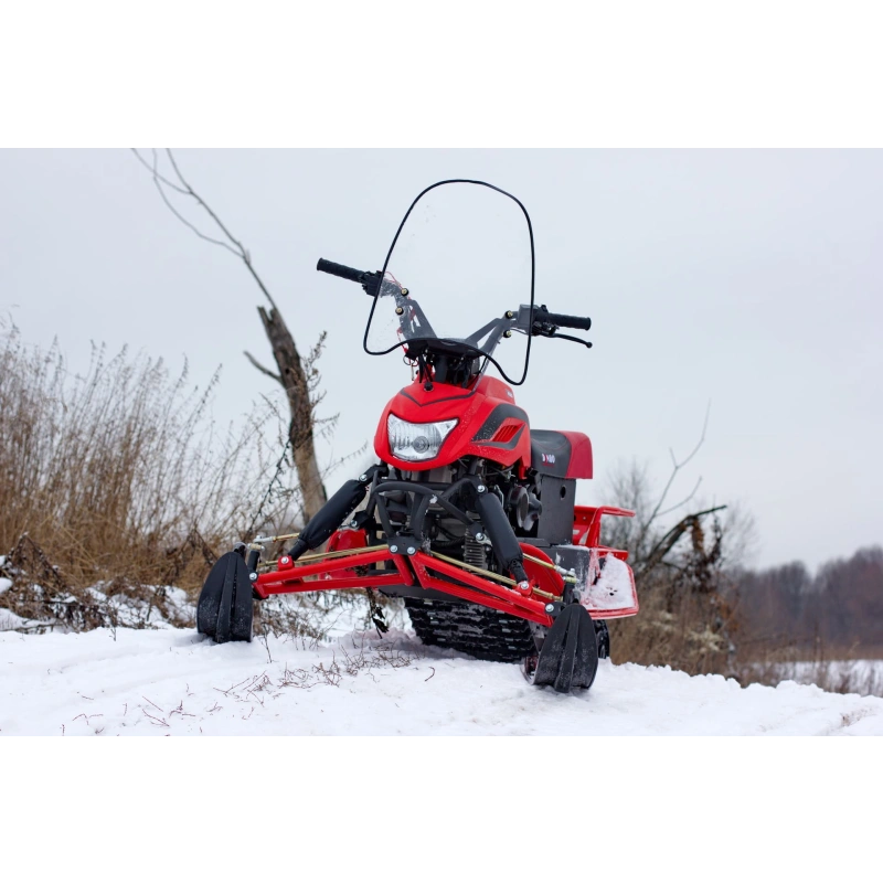 Снегоход IRBIS Dingo T150