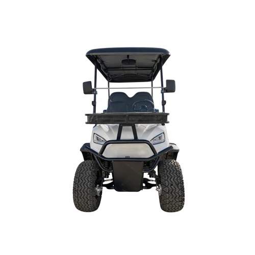 Гольфкар GREENCAMEL Linhai A22L (2+2, 4kW AC, R14 литые) LUX lifted