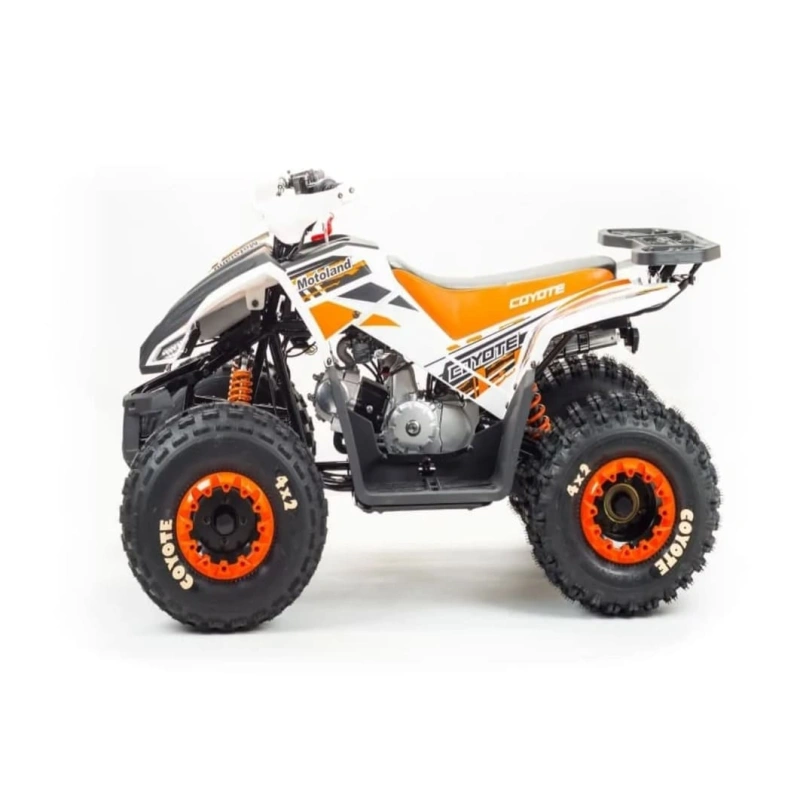 Квадроцикл MOTOLAND 125 Coyote (2021 Г.)