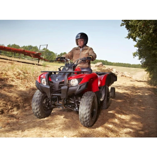 Квадроцикл YAMAHA Segway 300