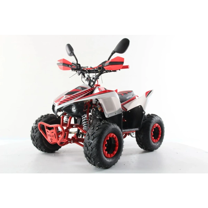 Квадроцикл MOTAX Mikro 110 New