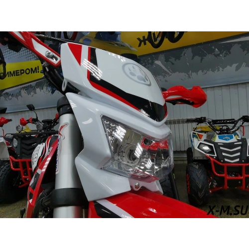 Питбайк IRBIS TTR 125R Pro Sport