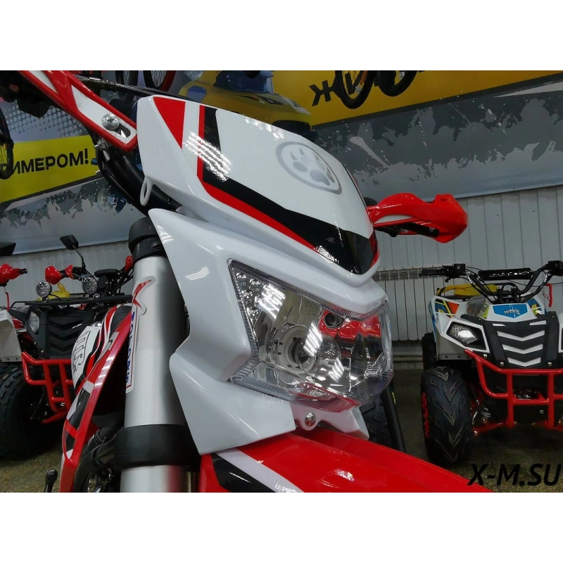 Питбайк IRBIS TTR 125R Pro Sport