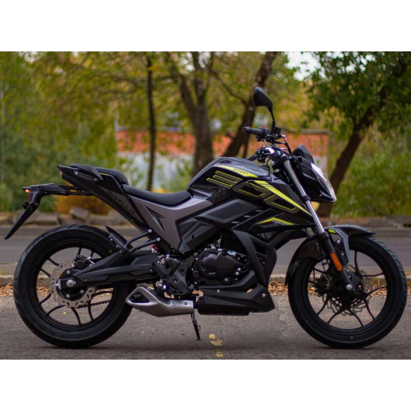 Мотоцикл ATAKI Batllo (4T PR300) 17/17