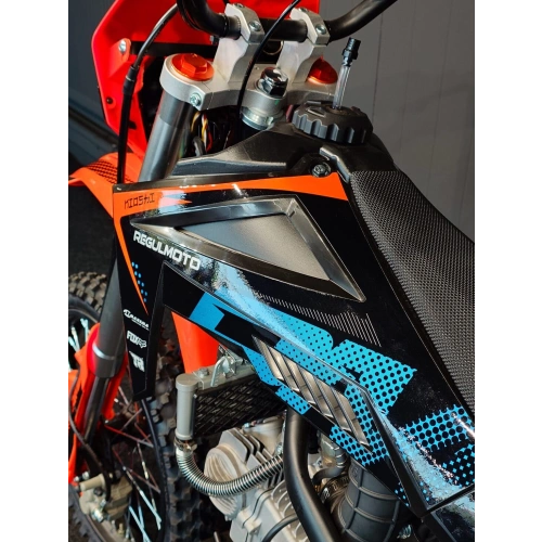 Питбайк REGULMOTO Spitfire 17/14 Pro