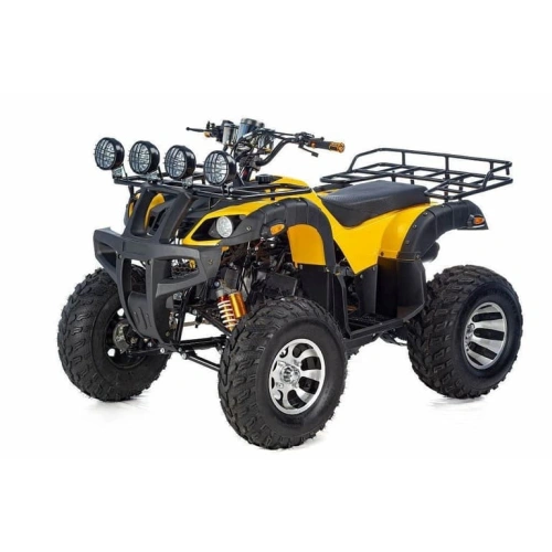Квадроцикл RAPTOR Max Pro 250 (жёлтый/чёрный) (2024)