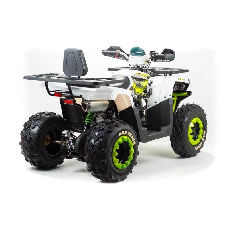Квадроцикл MOTOLAND ATV 200 Wild Track