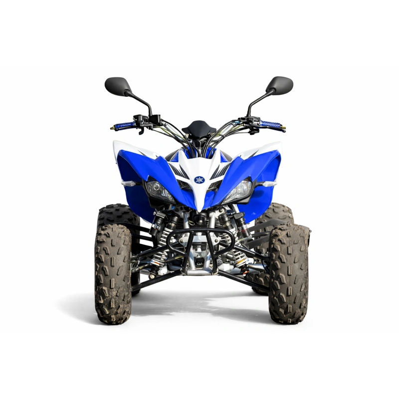Квадроцикл YAMAHA YFM250R - replica