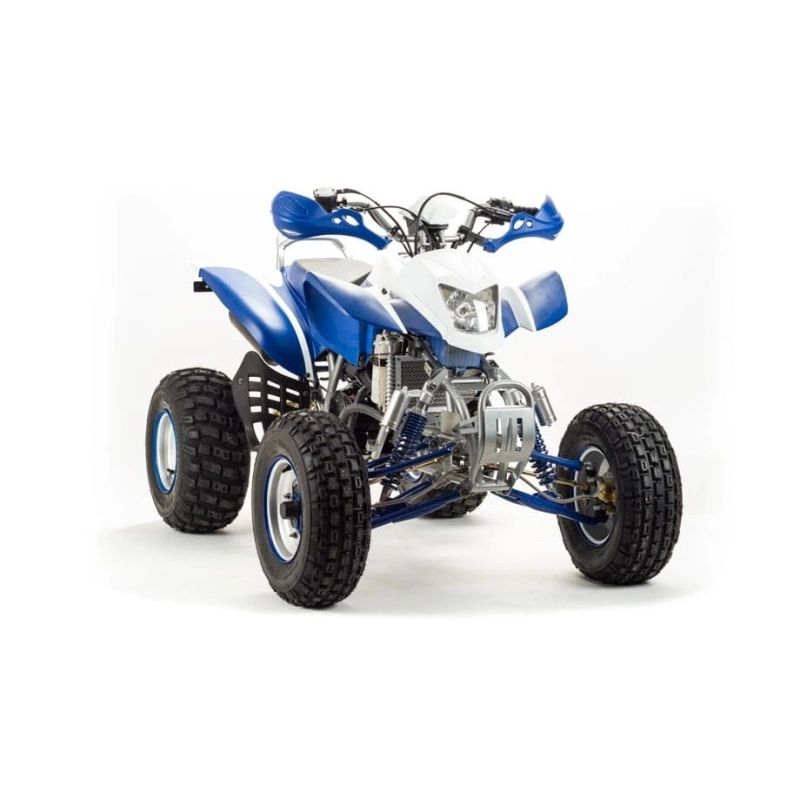 Квадроцикл MOTOLAND 250 Dakar
