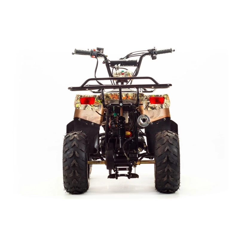 Квадроцикл MOTOLAND 110 Rider (2021 Г.)