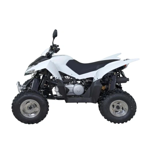 Квадроцикл SYM QuadRaider 300 SS