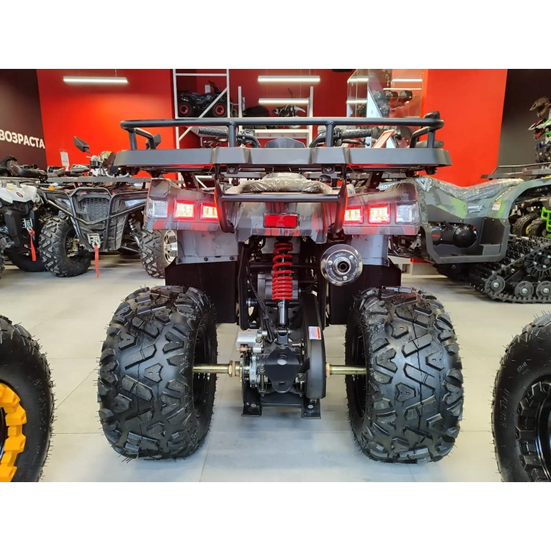 Квадроцикл MOTAX Grizlik T 200
