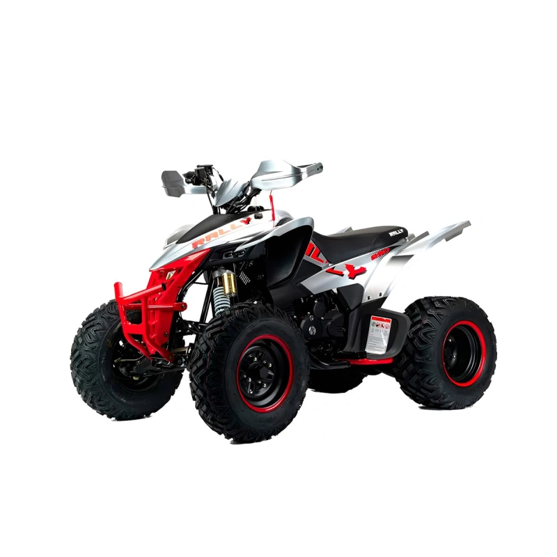 Квадроцикл MOTOLAND Rally 250