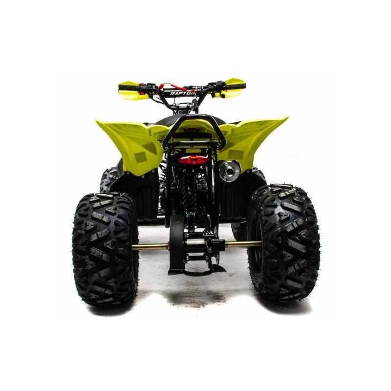 Квадроцикл MOTOLAND 125 Raptor