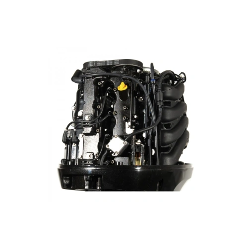 4х-тактный лодочный мотор GOLFSTREAM F100FEL-T EFI