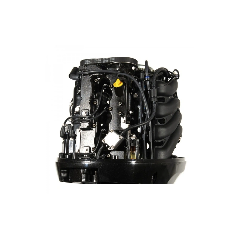 4х-тактный лодочный мотор GOLFSTREAM F100FEL-T EFI