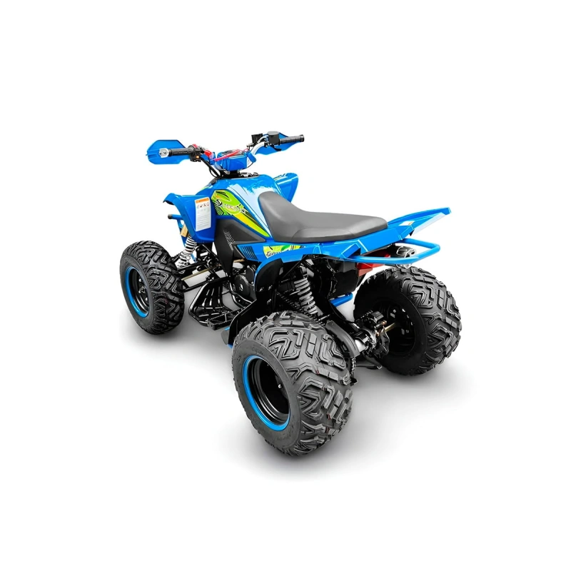 Квадроцикл RACER Typhoon 250
