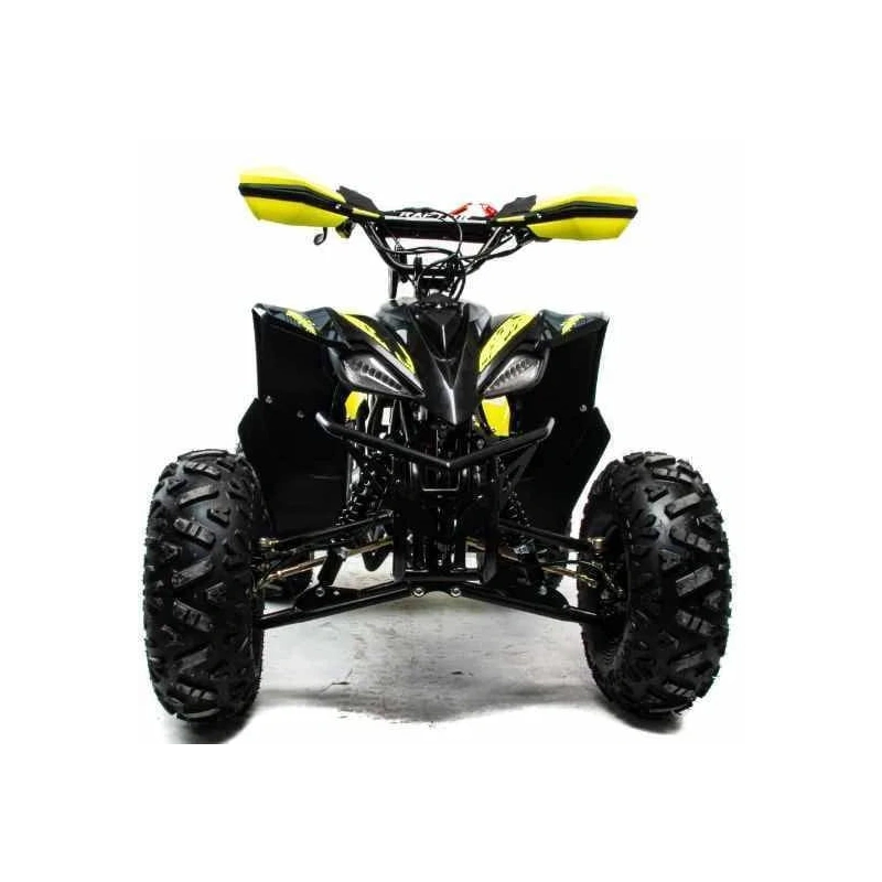 Квадроцикл MOTOLAND 125 Raptor