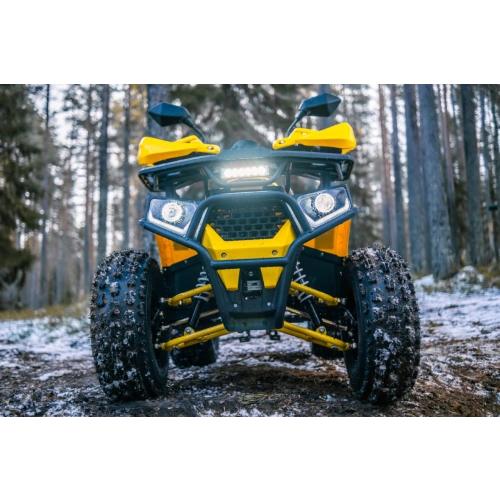 Квадроцикл WELS Thunder Trail 125 Pro