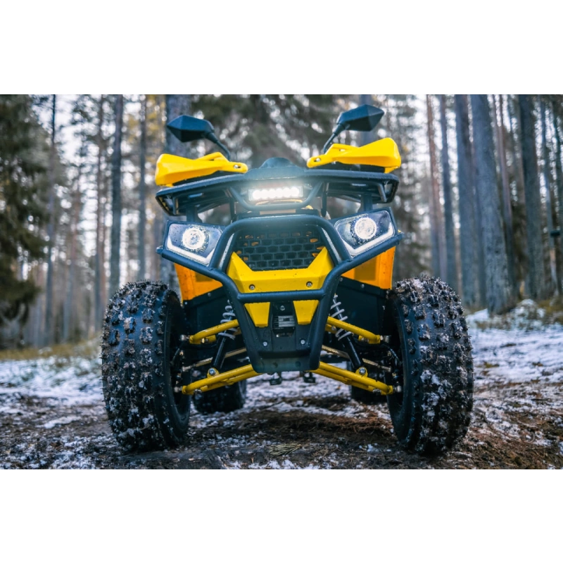 Квадроцикл WELS Thunder Trail 125 Pro