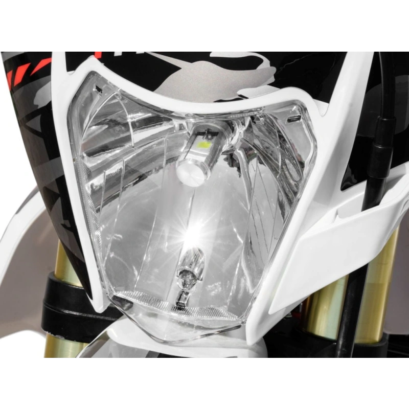 Мотоцикл кроссовый эндуро REGULMOTO Athlete 250 21/18