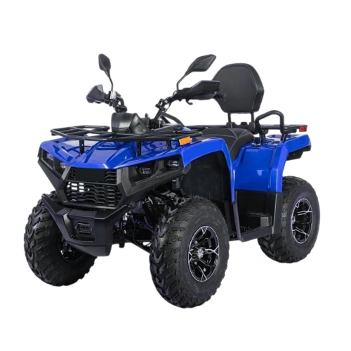 Квадроцикл BIZON YK250 Lux EFI