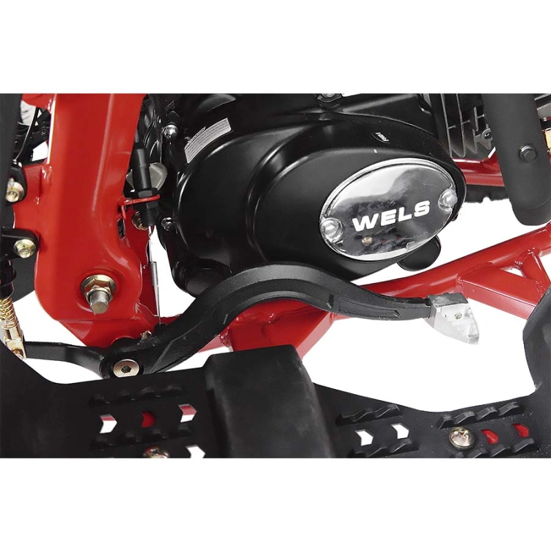 Квадроцикл WELS Thunder Evo X