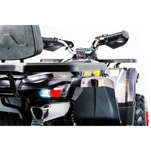 Квадроцикл MOTOLAND 200 Wild Track X Pro (2022)