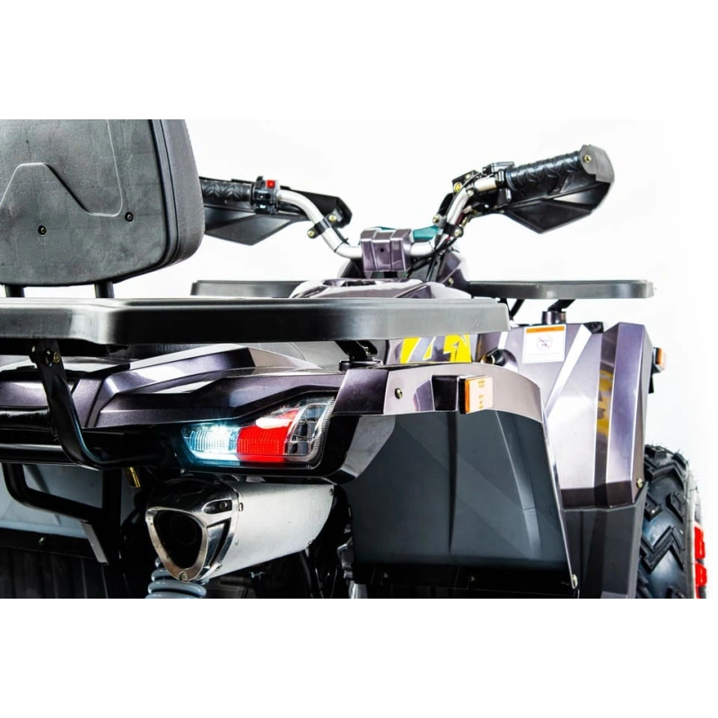 Квадроцикл MOTOLAND 200 Wild Track X Pro (2022)