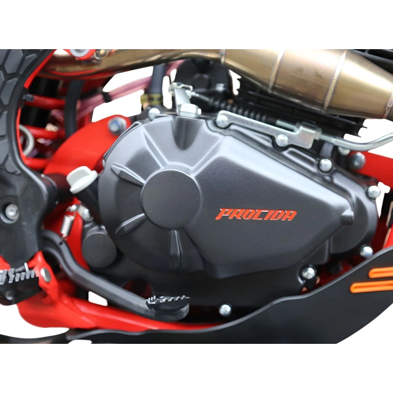 Мотоцикл PROCIDA PR300 ENDURO