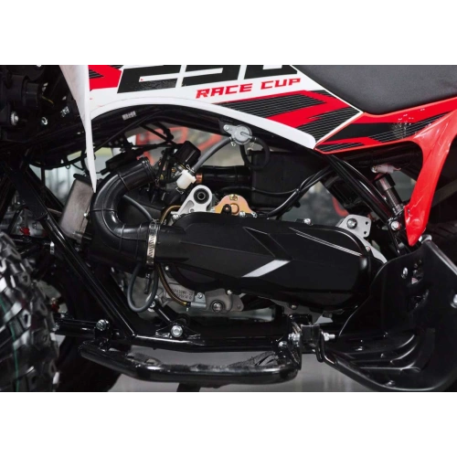 Квадроцикл SHARMAX Raizer Race Cup 250