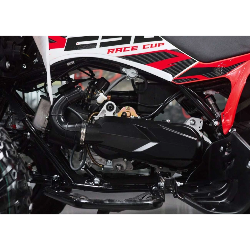 Квадроцикл SHARMAX Raizer Race Cup 250