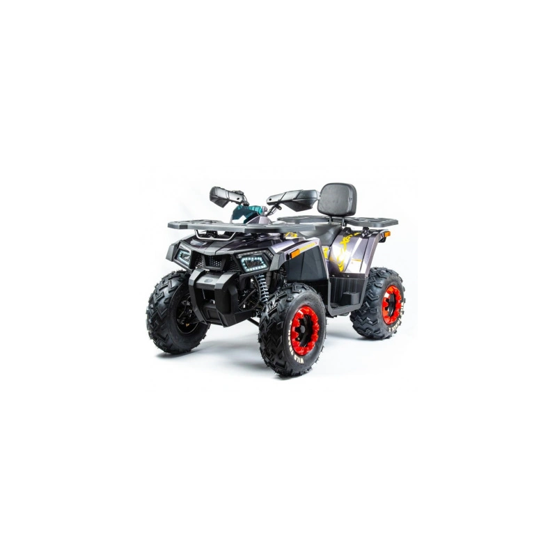 Квадроцикл MOTOLAND 200 Wild Track X Pro (2022)