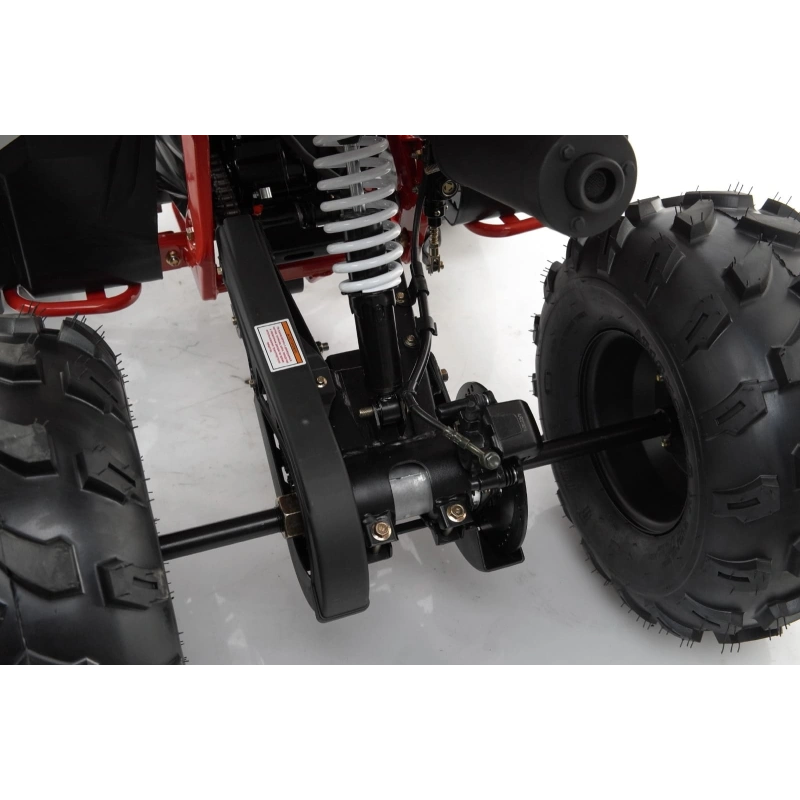 Квадроцикл MOTAX Grizlik A125