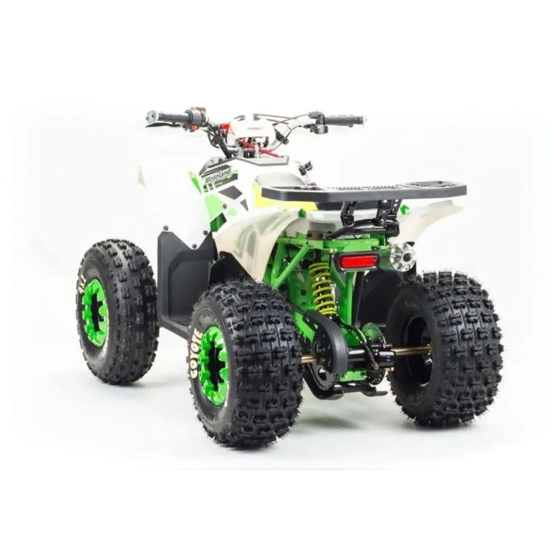 Квадроцикл MOTOLAND 125 Coyote (2021 Г.)