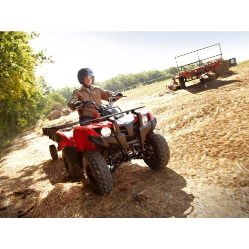 Квадроцикл YAMAHA Segway 300