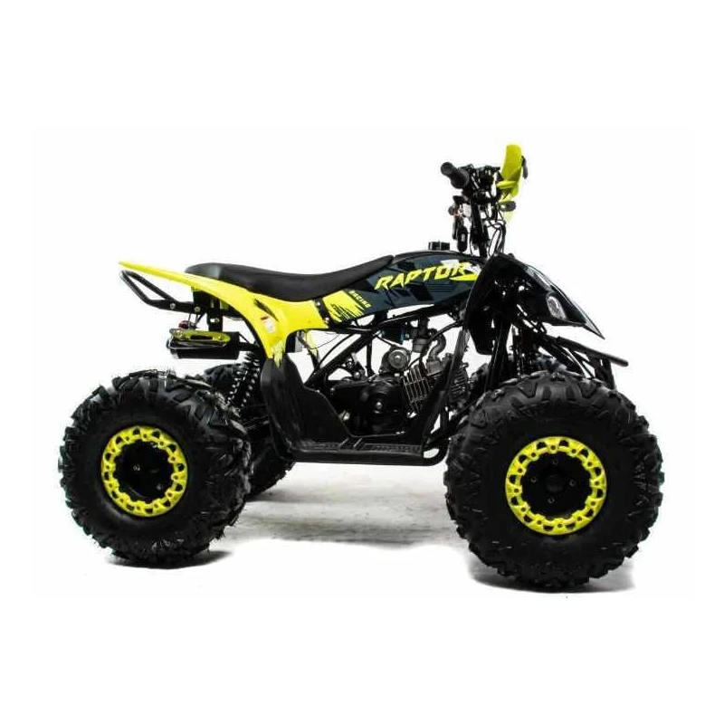 Квадроцикл MOTOLAND 125 Raptor